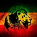 Rasta Lion Judah