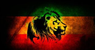 Rasta Lion Judah